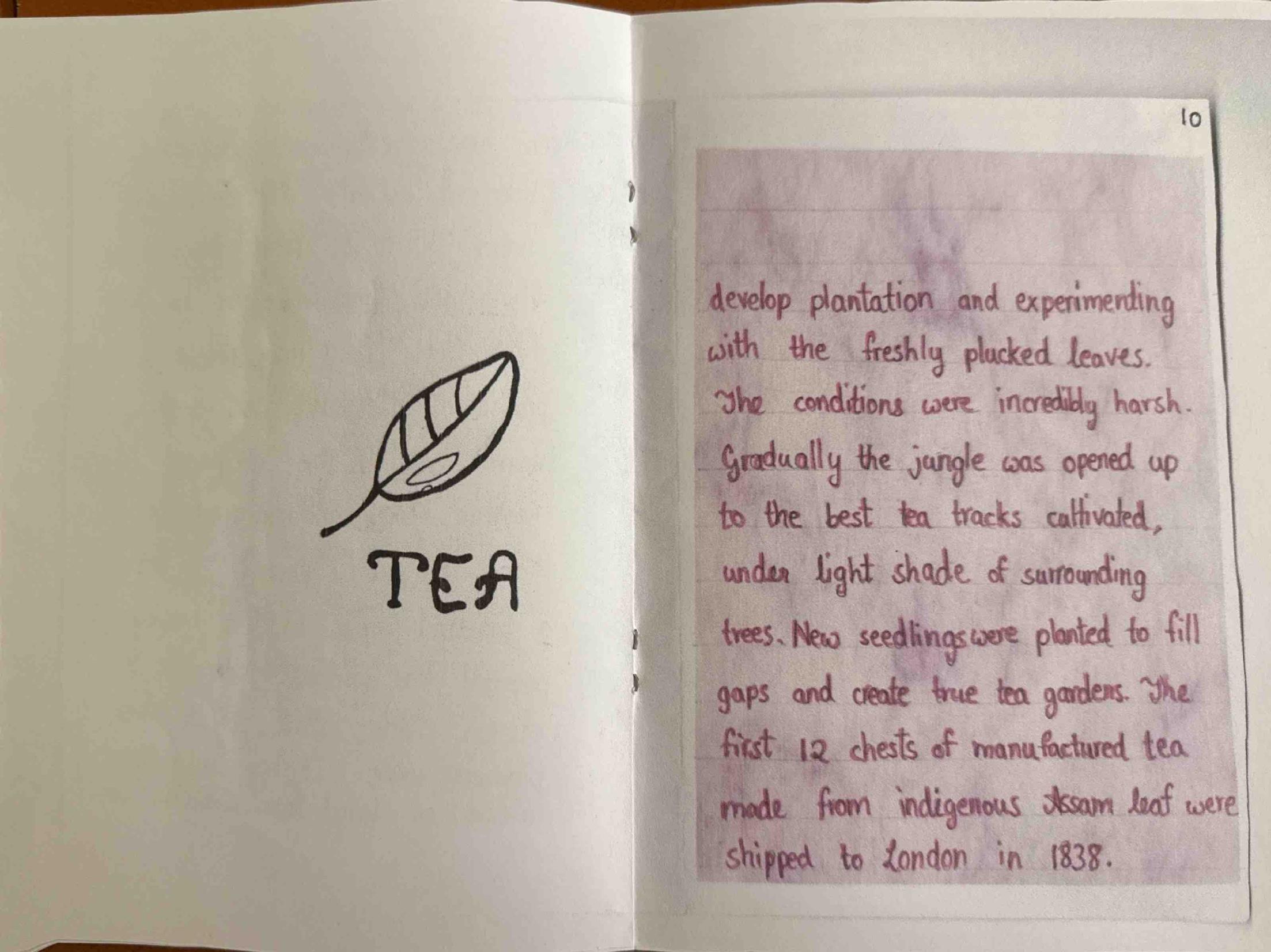 A tea leaf, and the first 12 chests of Assam tea shipped to London in 1838